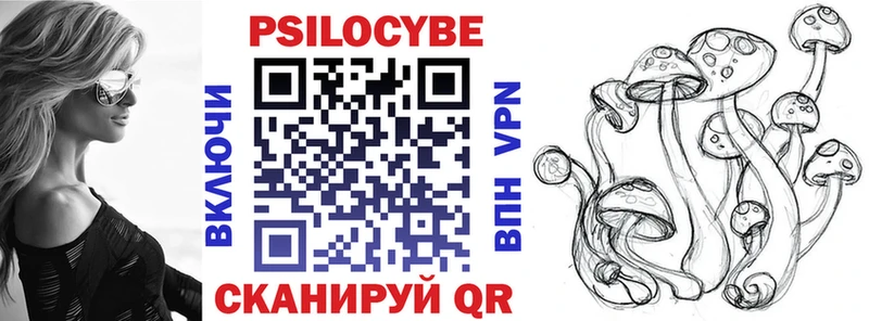 Галлюциногенные грибы Psilocybine cubensis  Пролетарск 